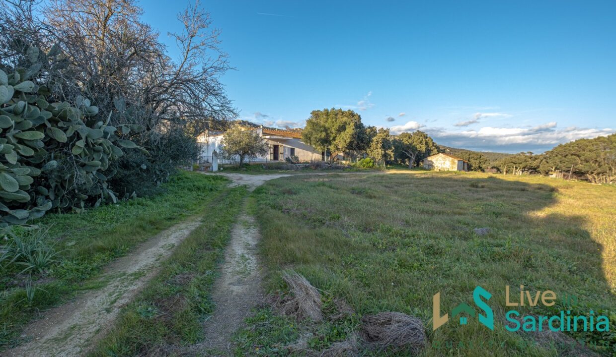 Country-Home-For-Sale-Monti-Sardinia