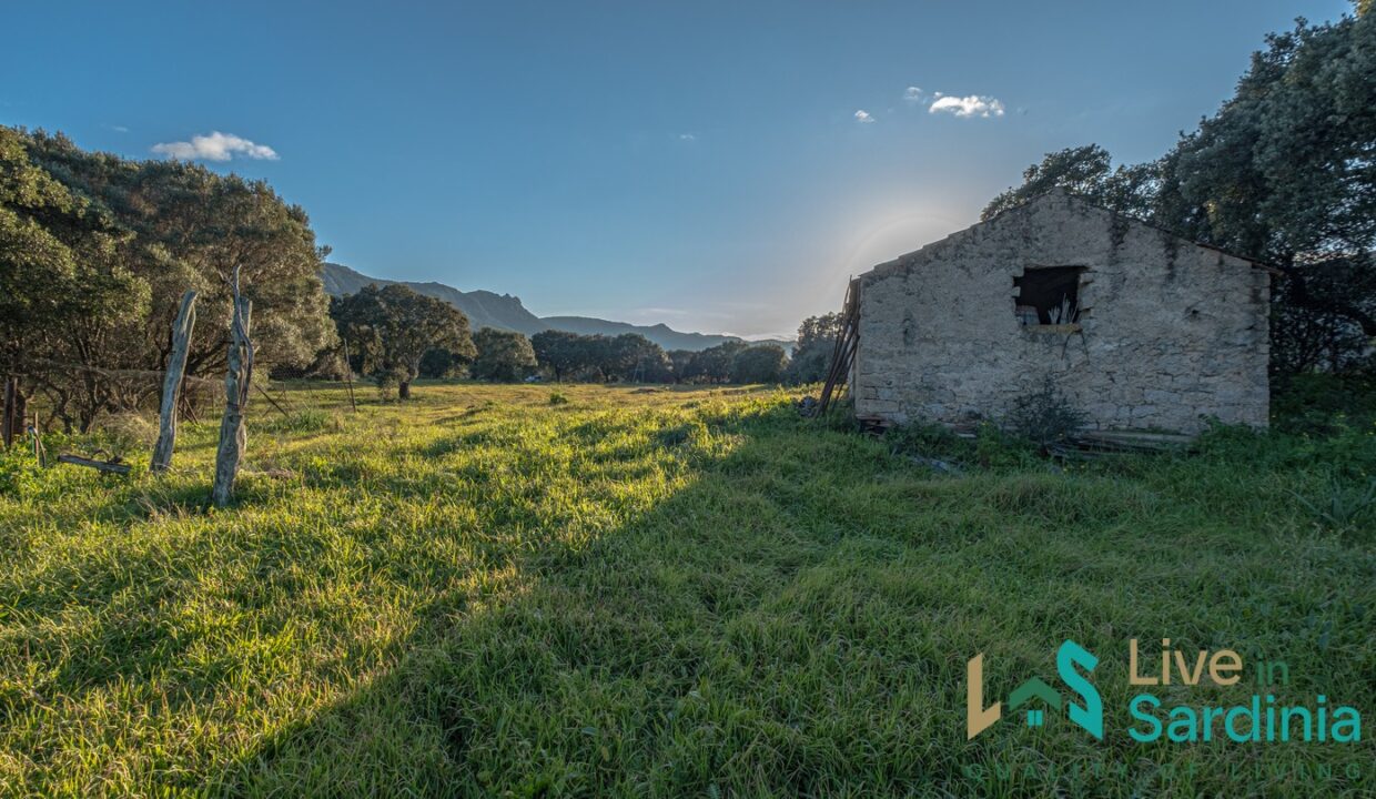 Country-Home-For-Sale-Monti-Sardinia