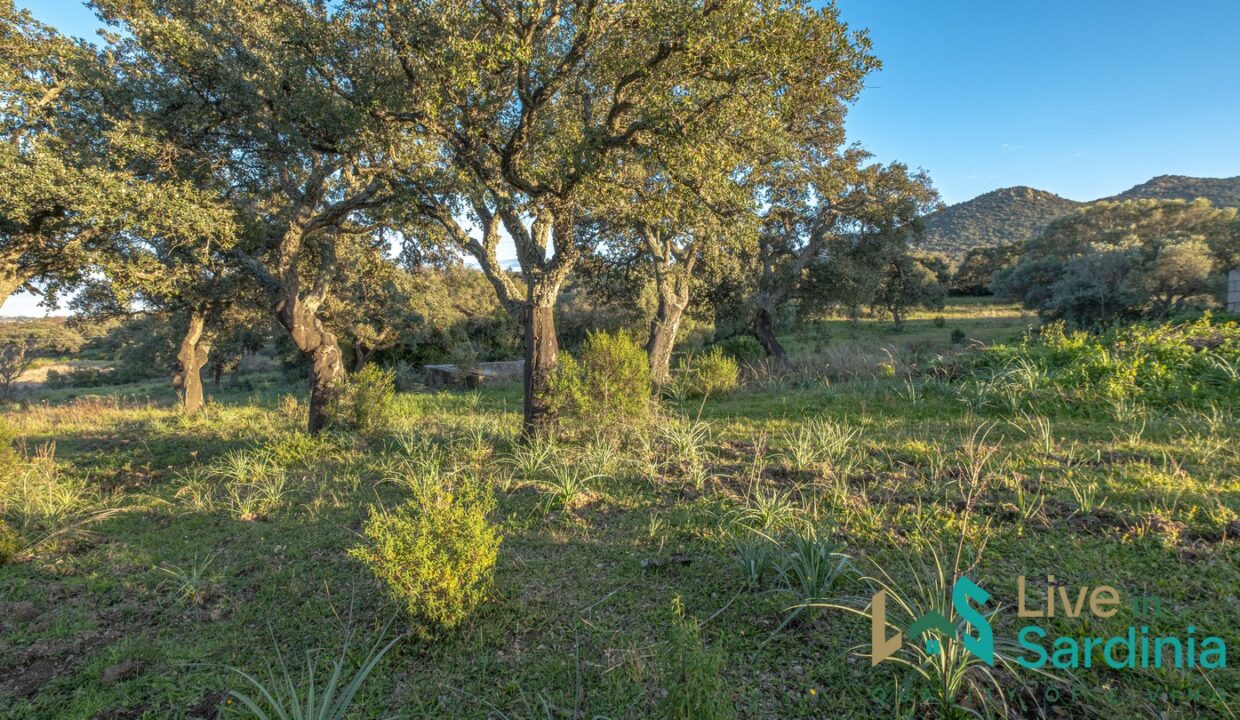 Country-Home-For-Sale-Monti-Sardinia