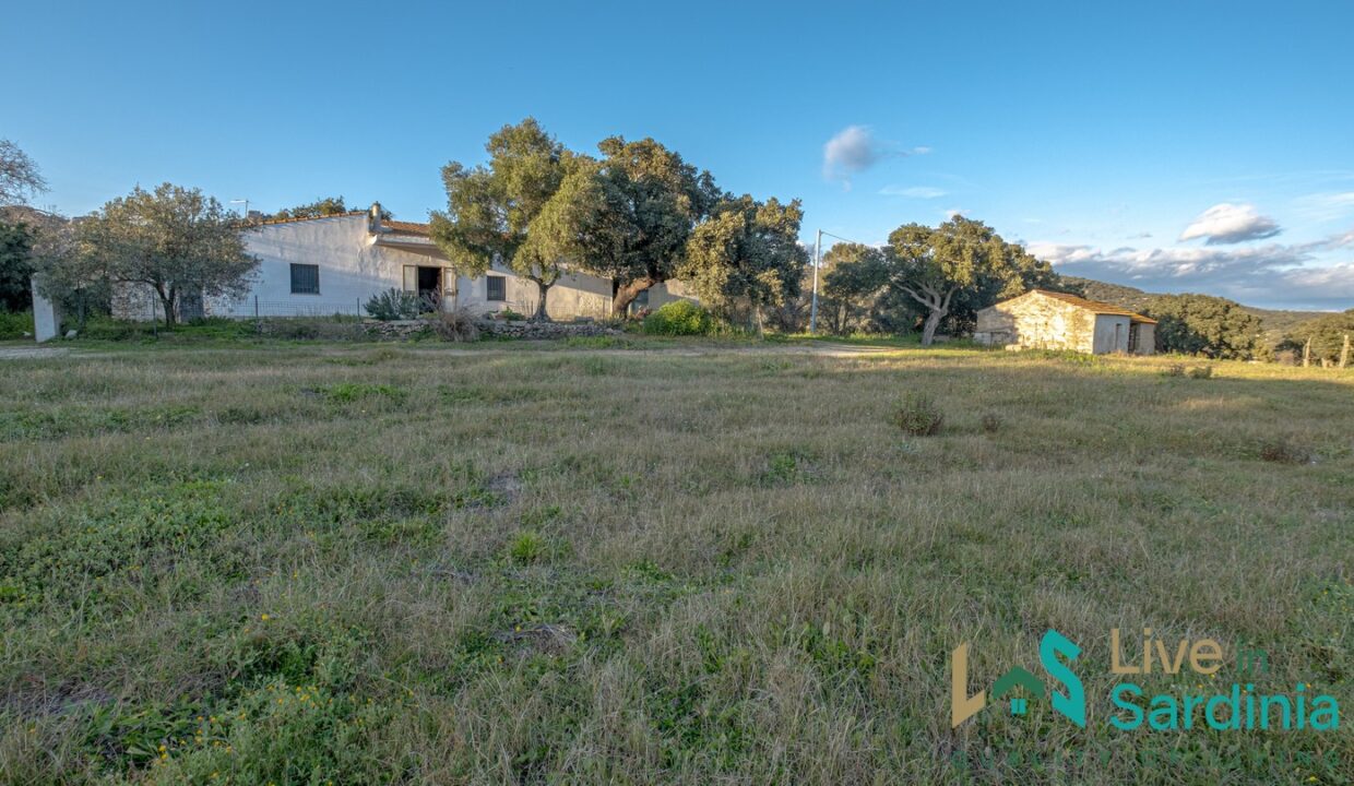 Country-Home-For-Sale-Olbia