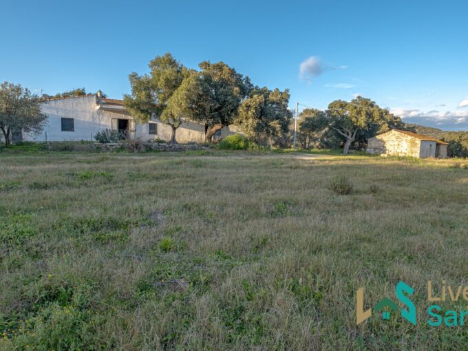 Country Home For Sale Olbia