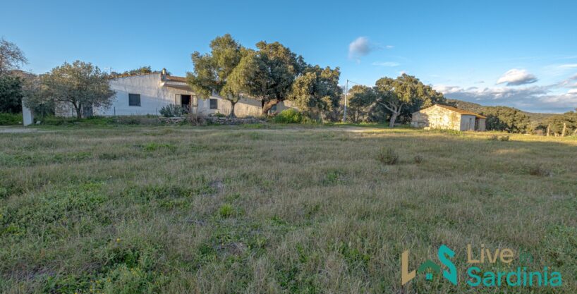 Country Home For Sale Olbia