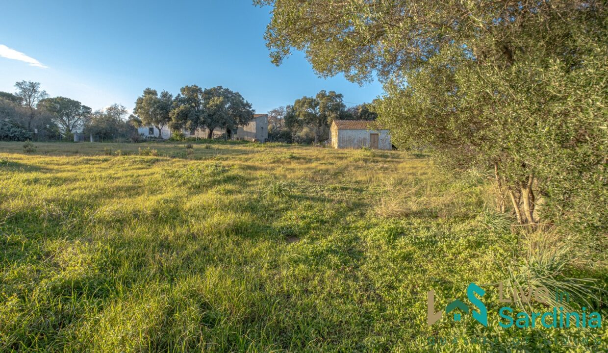 Country-Home-For-Sale-Monti-Sardinia