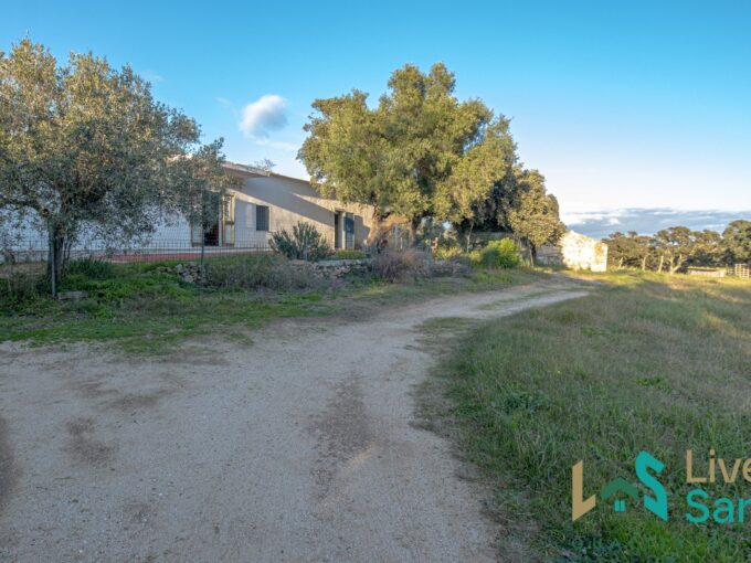Farmhouse For Sale Olbia