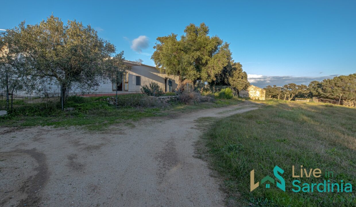 Country-Home-For-Sale-Olbia