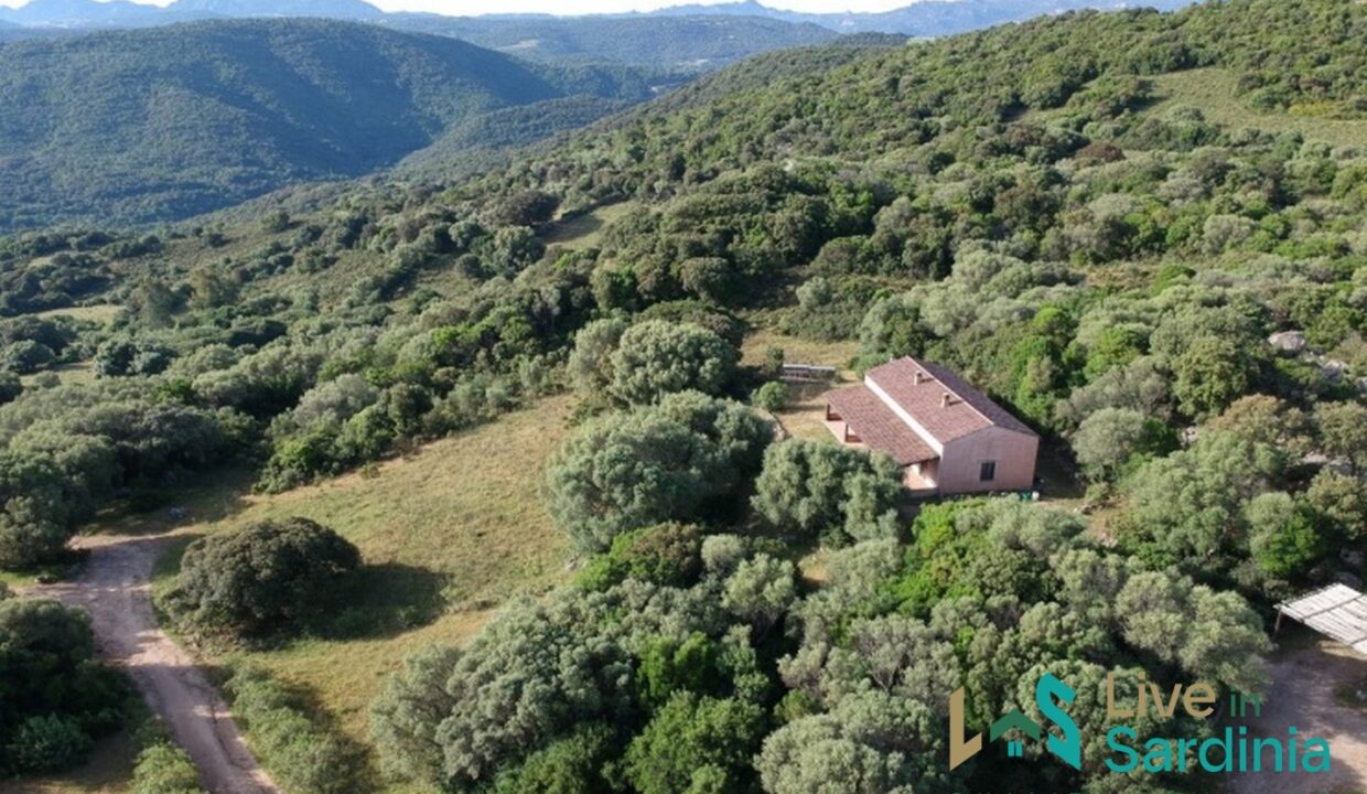 Farmhouses-For-Sale-In-Sardinia