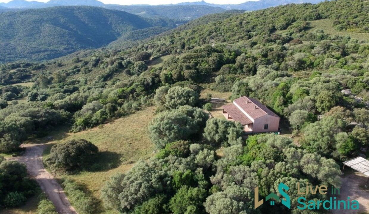 Farmhouses-For-Sale-In-Sardinia