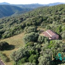 Farmhouses For Sale In Sardinia