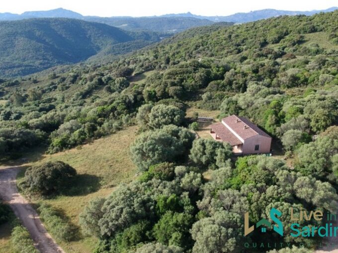 Farmhouses For Sale In Sardinia