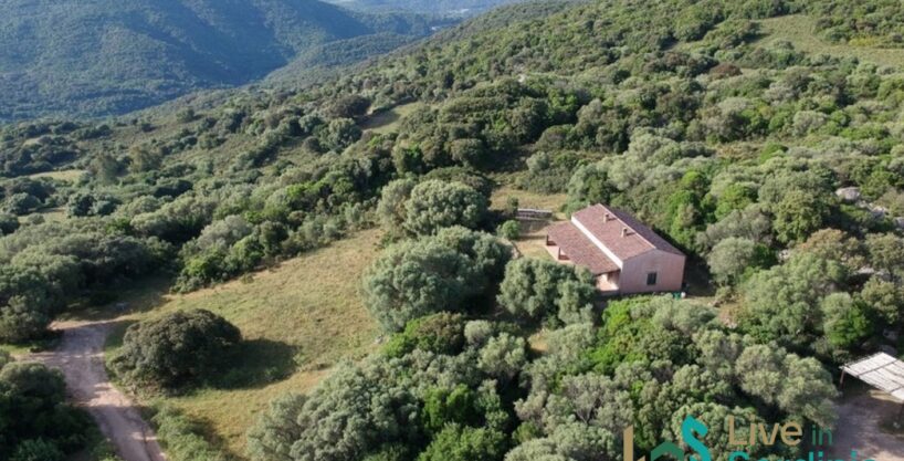 Farmhouses For Sale In Sardinia