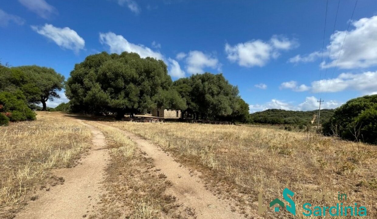 Farmhouses-For-Sale-In-Sardinia