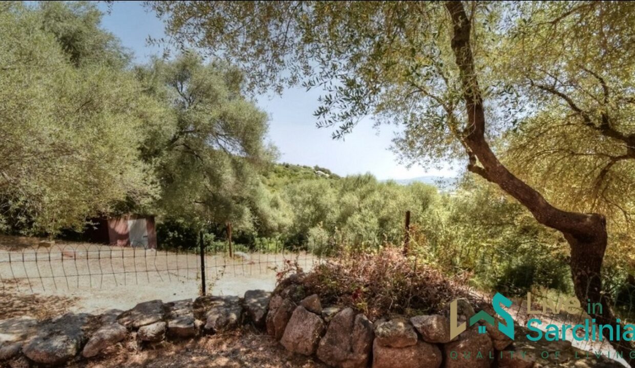 Farmhouses-For-Sale-In-Sardinia