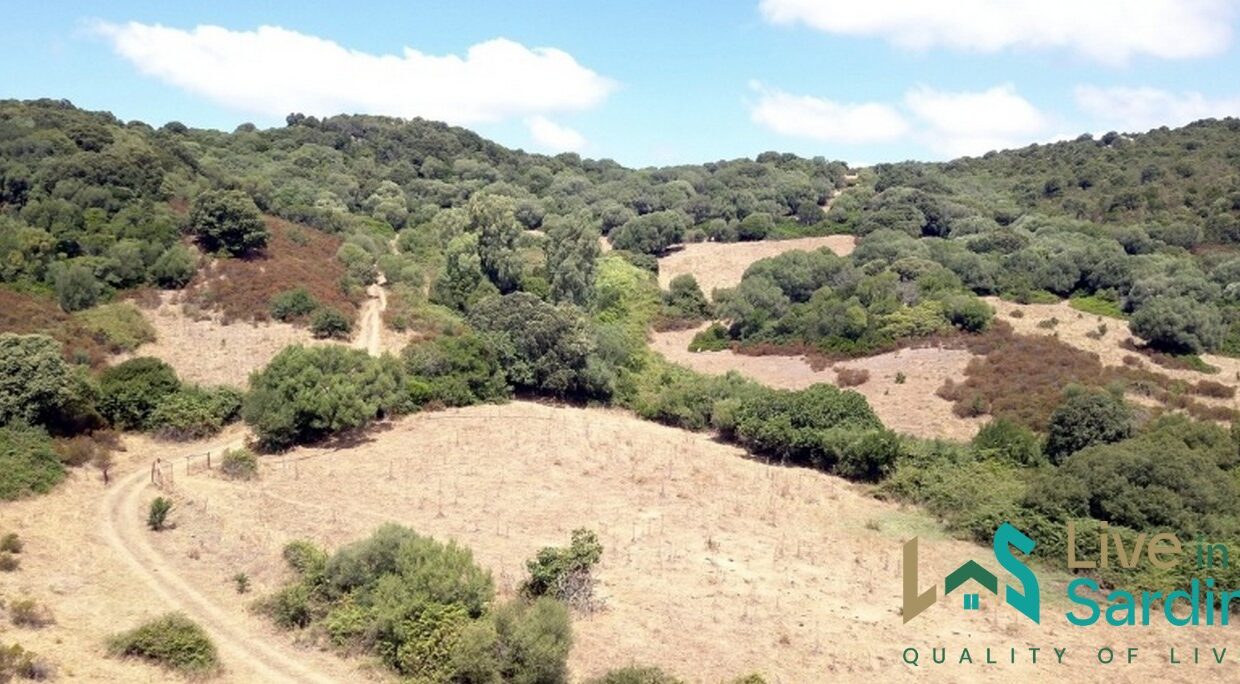Farmhouses-For-Sale-In-Sardinia