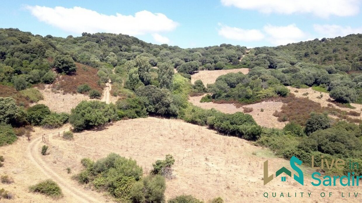 Farmhouses-For-Sale-In-Sardinia