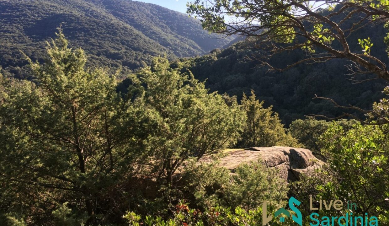 Farmhouses-For-Sale-In-Sardinia
