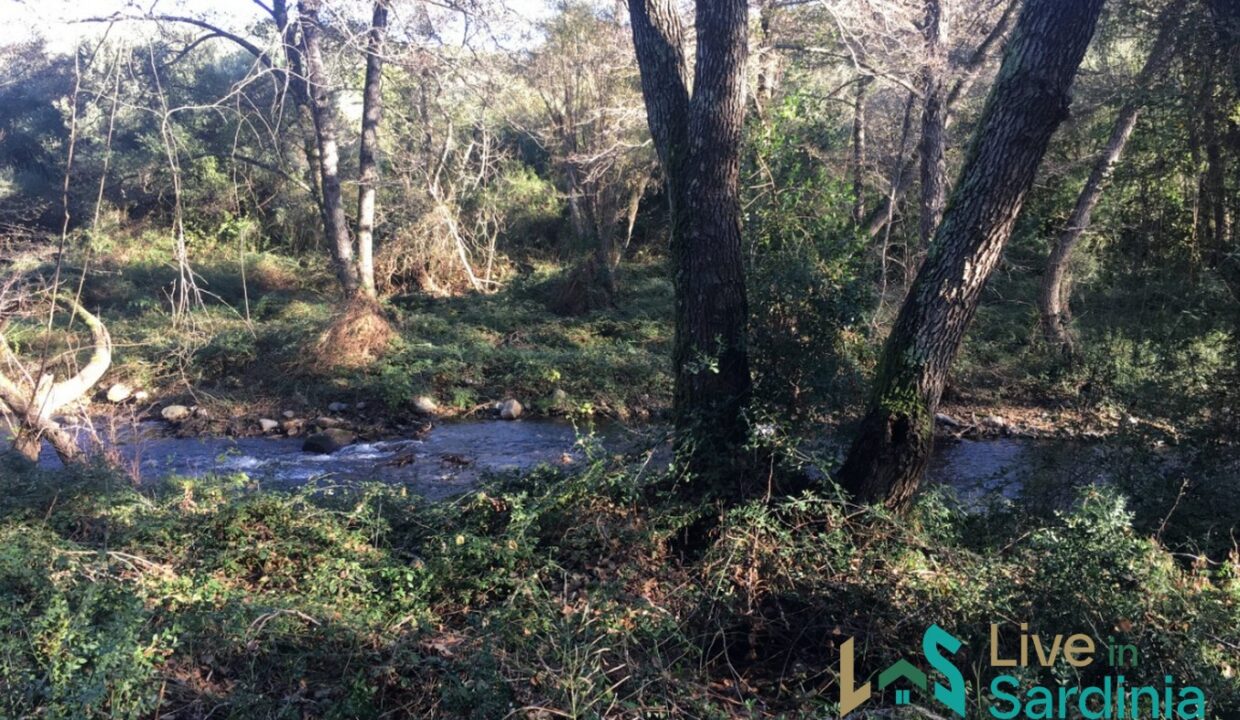 Farmhouses-For-Sale-In-Sardinia