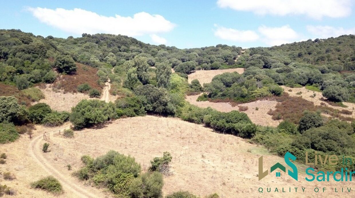 Farmhouses-For-Sale-In-Sardinia