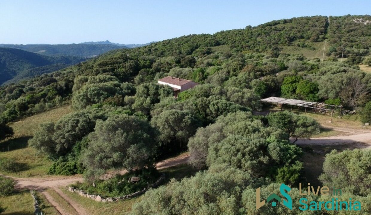 Farmhouses-For-Sale-In-Sardinia