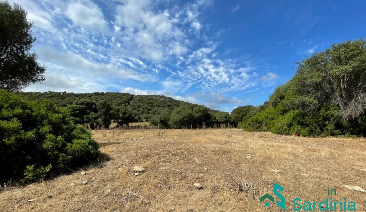 Farmhouses-For-Sale-In-Sardinia