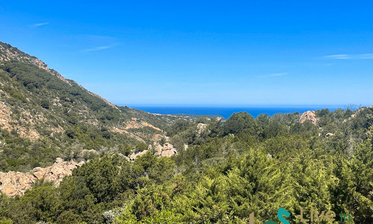 Homes-For-Sale-Porto-Cervo (41)