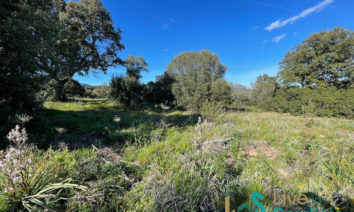 Buildable-Land-For-Sale-Olbia-Sardinia