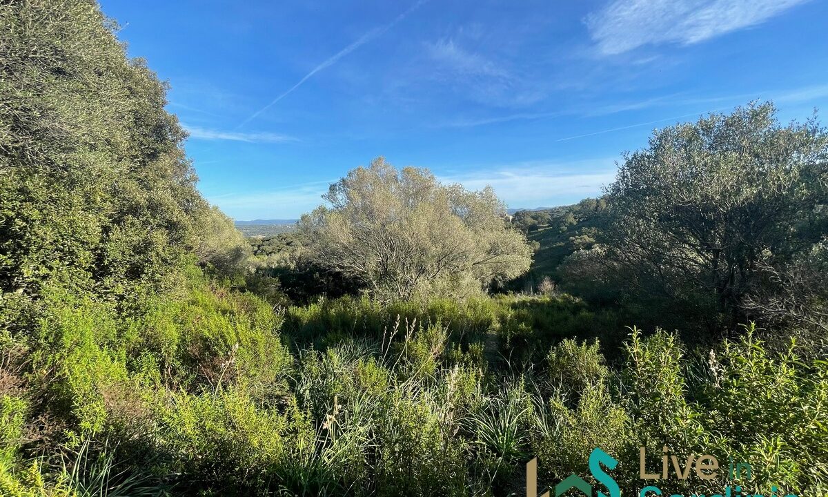 Buildable-Land-For-Sale-Olbia-Sardinia