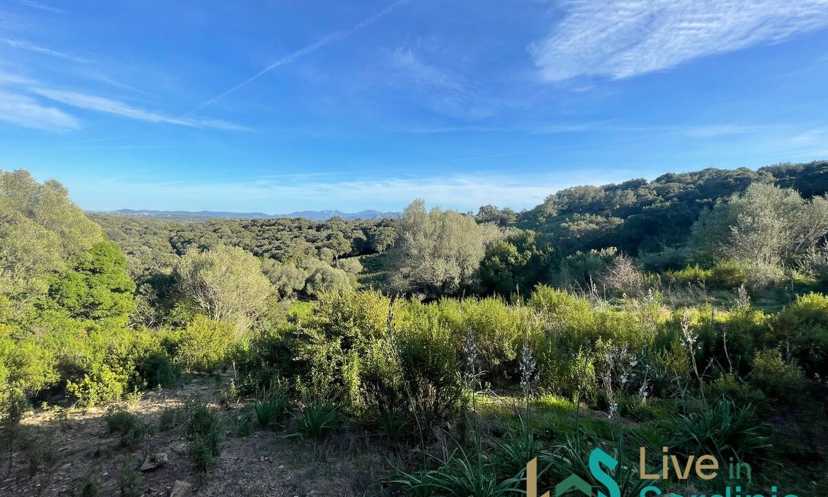 Buildable-Land-For-Sale-Olbia-Sardinia