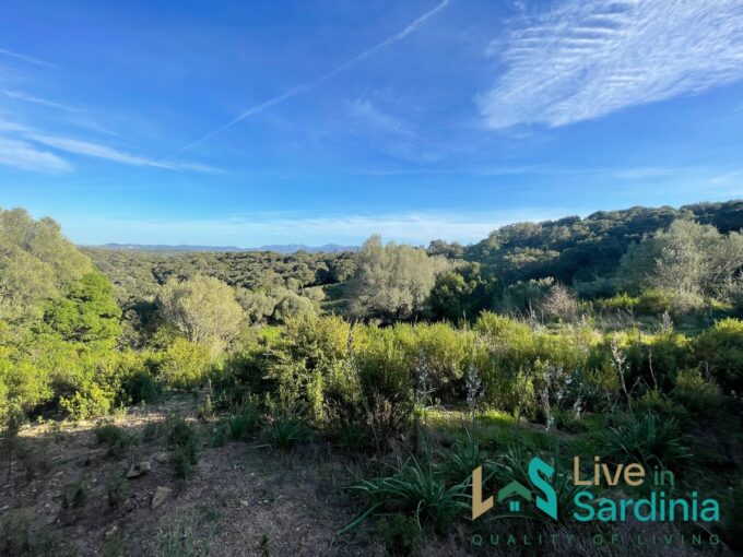 Buildable Land For Sale Olbia