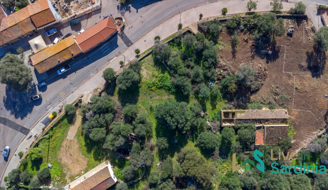 Rustic-Home-with-Olive-Grove-For-Sale-Near-Sale-In-Porto-San-Paolo
