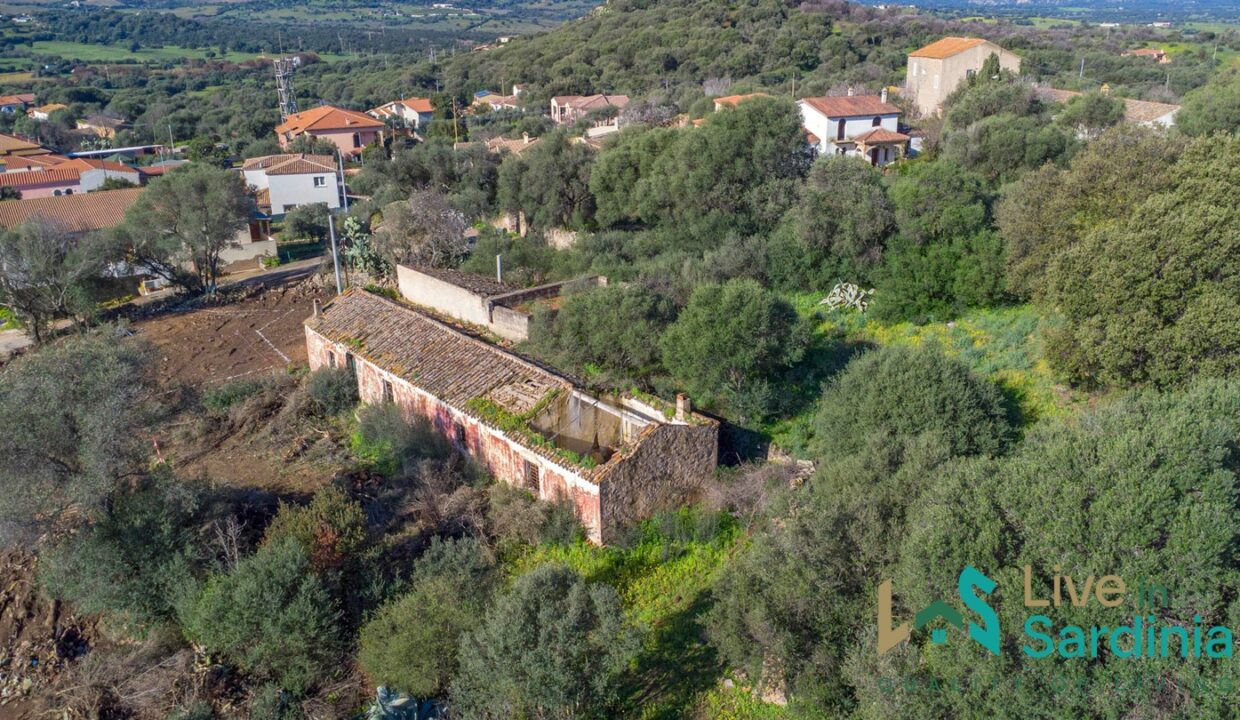Rustic-Home-with-Olive-Grove-For-Sale-Near-Sale-In-Porto-San-Paolo
