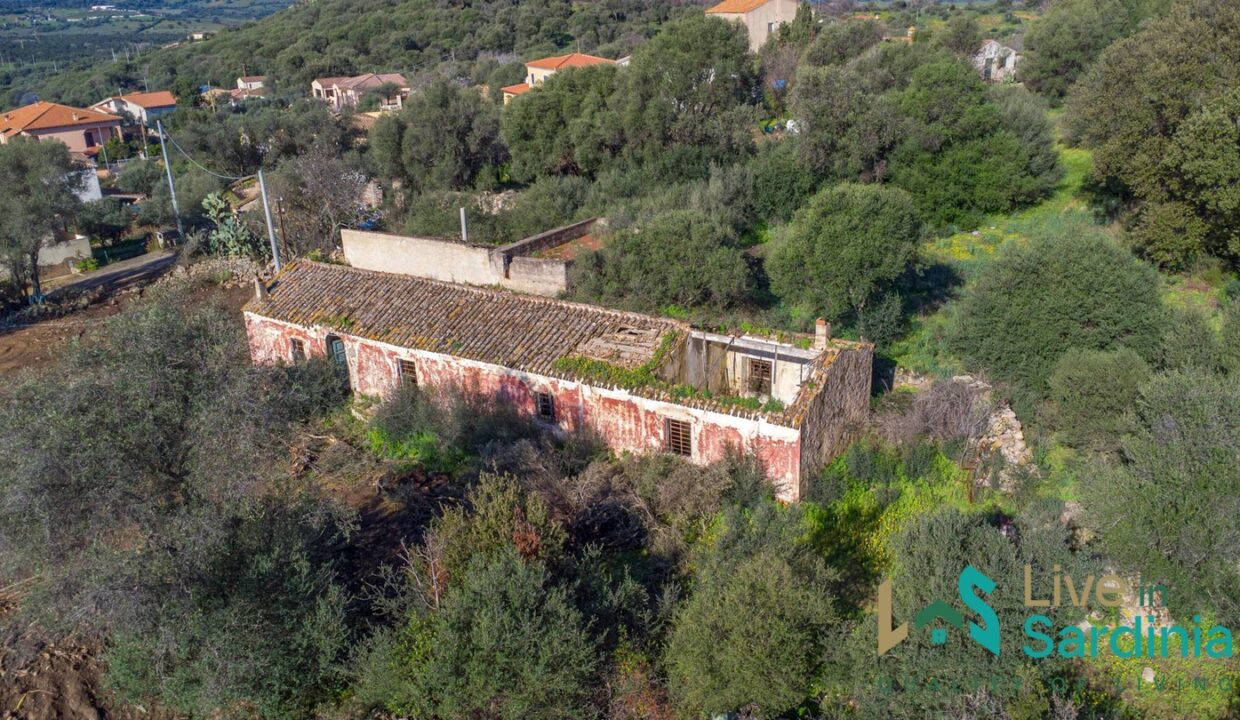 Rustic-Home-with-Olive-Grove-For-Sale-Near-Sale-In-Porto-San-Paolo