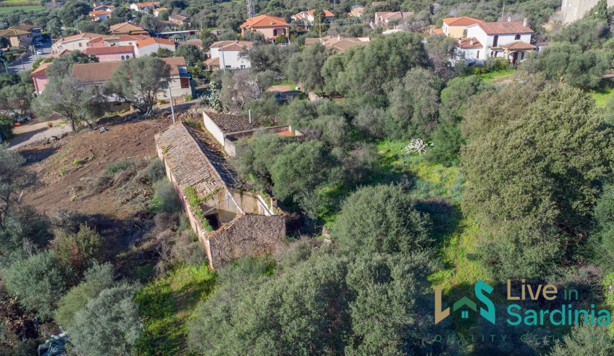 Rustic-Home-with-Olive-Grove-For-Sale-Near-Sale-In-Porto-San-Paolo