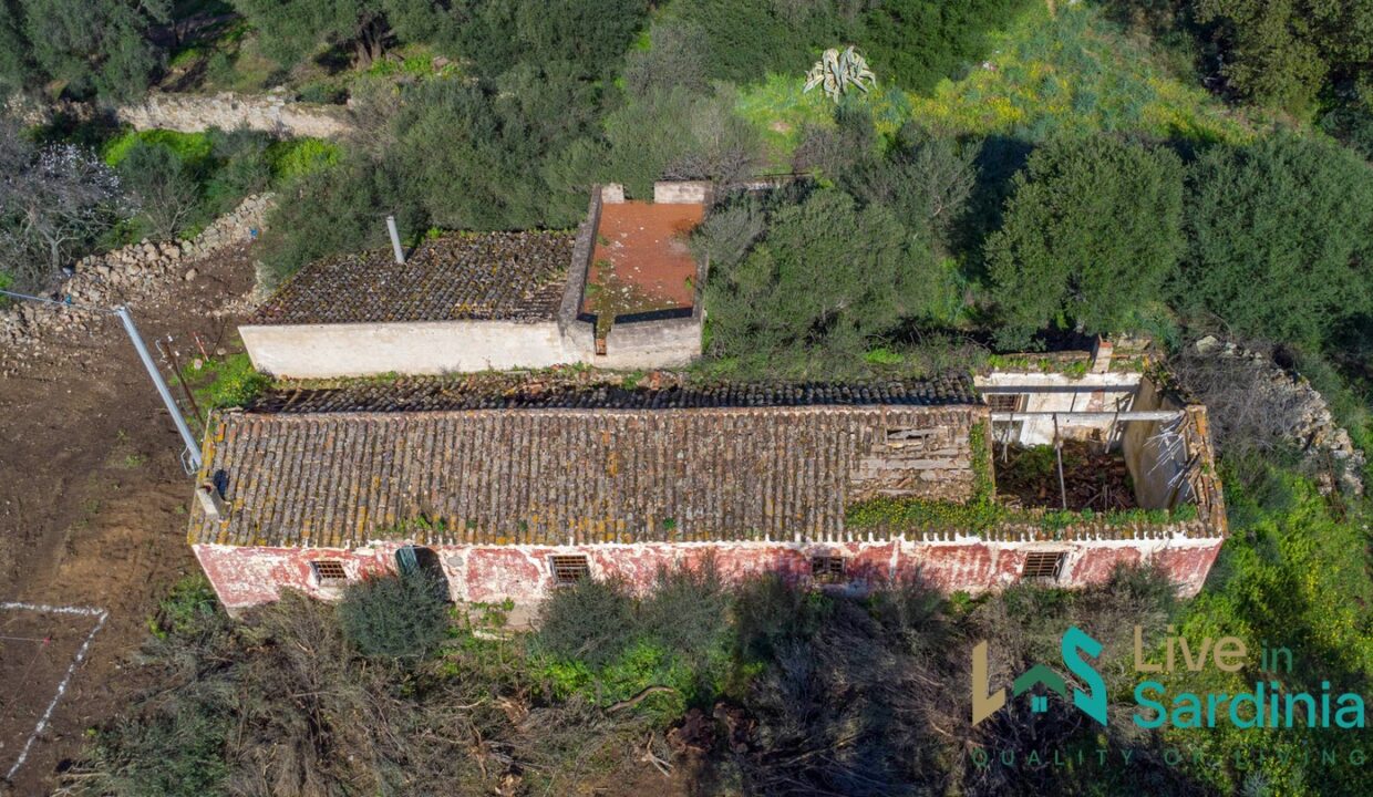 Rustic-Home-with-Olive-Grove-For-Sale-Near-Sale-In-Porto-San-Paolo