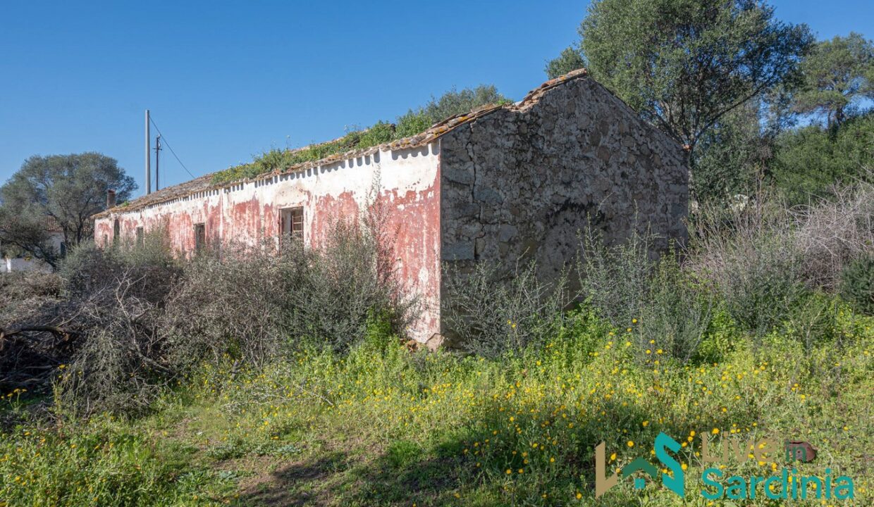 Rustic-Home-with-Olive-Grove-For-Sale-Near-Sale-In-Porto-San-Paolo