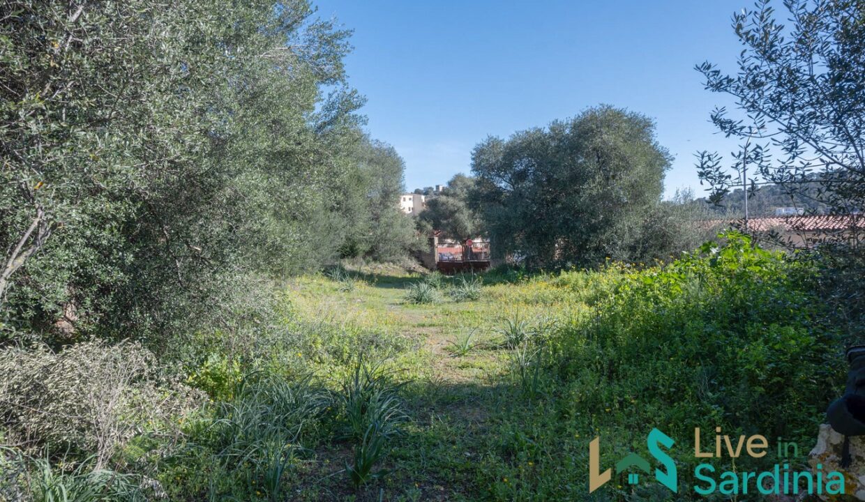 Rustic-Home-with-Olive-Grove-For-Sale-Near-Sale-In-Porto-San-Paolo