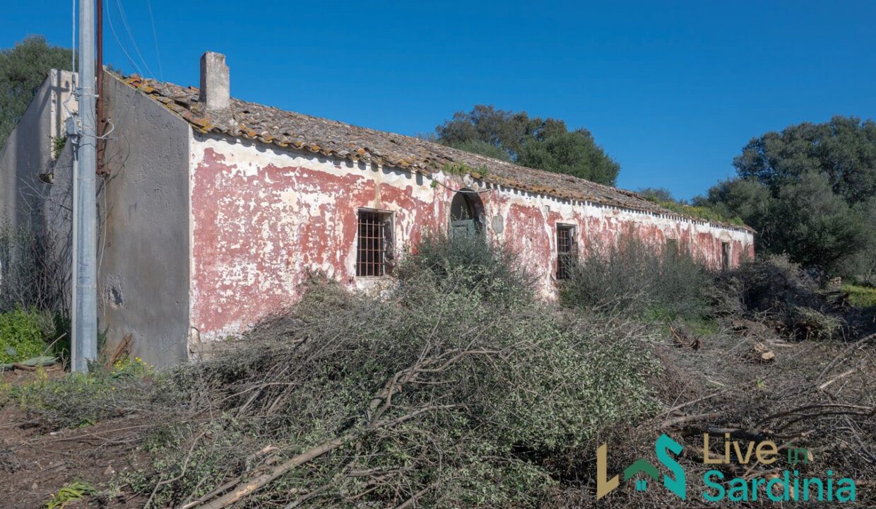 Rustic-Home-with-Olive-Grove-For-Sale-Near-Sale-In-Porto-San-Paolo