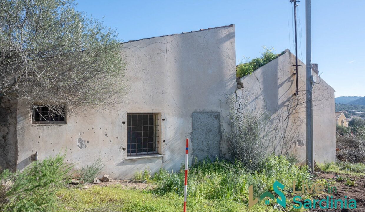 Rustic-Home-with-Olive-Grove-For-Sale-Near-Sale-In-Porto-San-Paolo