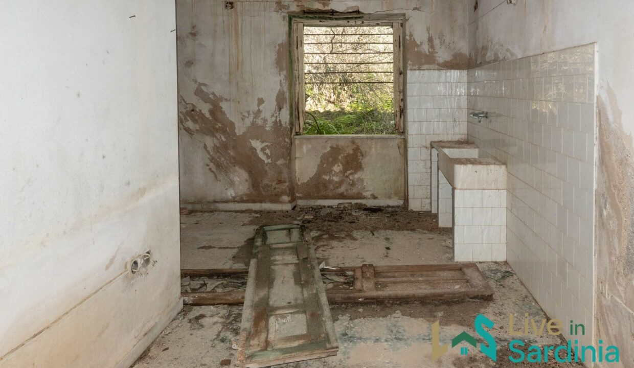 Rustic-Home-with-Olive-Grove-For-Sale-Near-Sale-In-Porto-San-Paolo