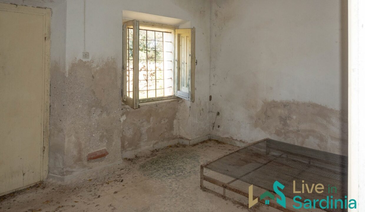Rustic-Home-with-Olive-Grove-For-Sale-Near-Sale-In-Porto-San-Paolo