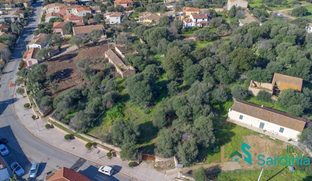 Rustic-Home-with-Olive-Grove-For-Sale-Near-Sale-In-Porto-San-Paolo