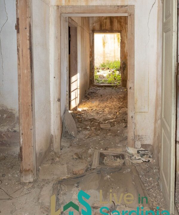 Rustic-Home-with-Olive-Grove-For-Sale-Near-Sale-In-Porto-San-Paolo