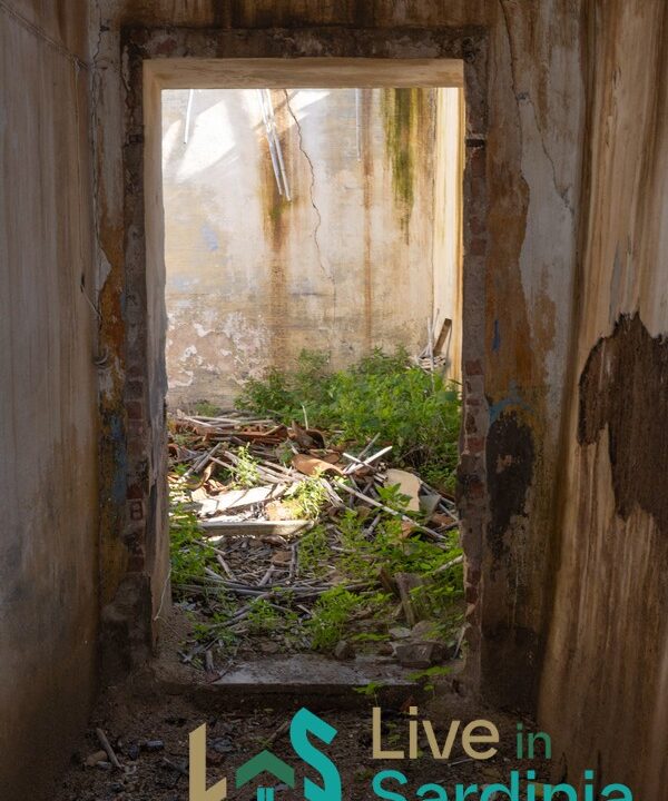 Rustic-Home-with-Olive-Grove-For-Sale-Near-Sale-In-Porto-San-Paolo