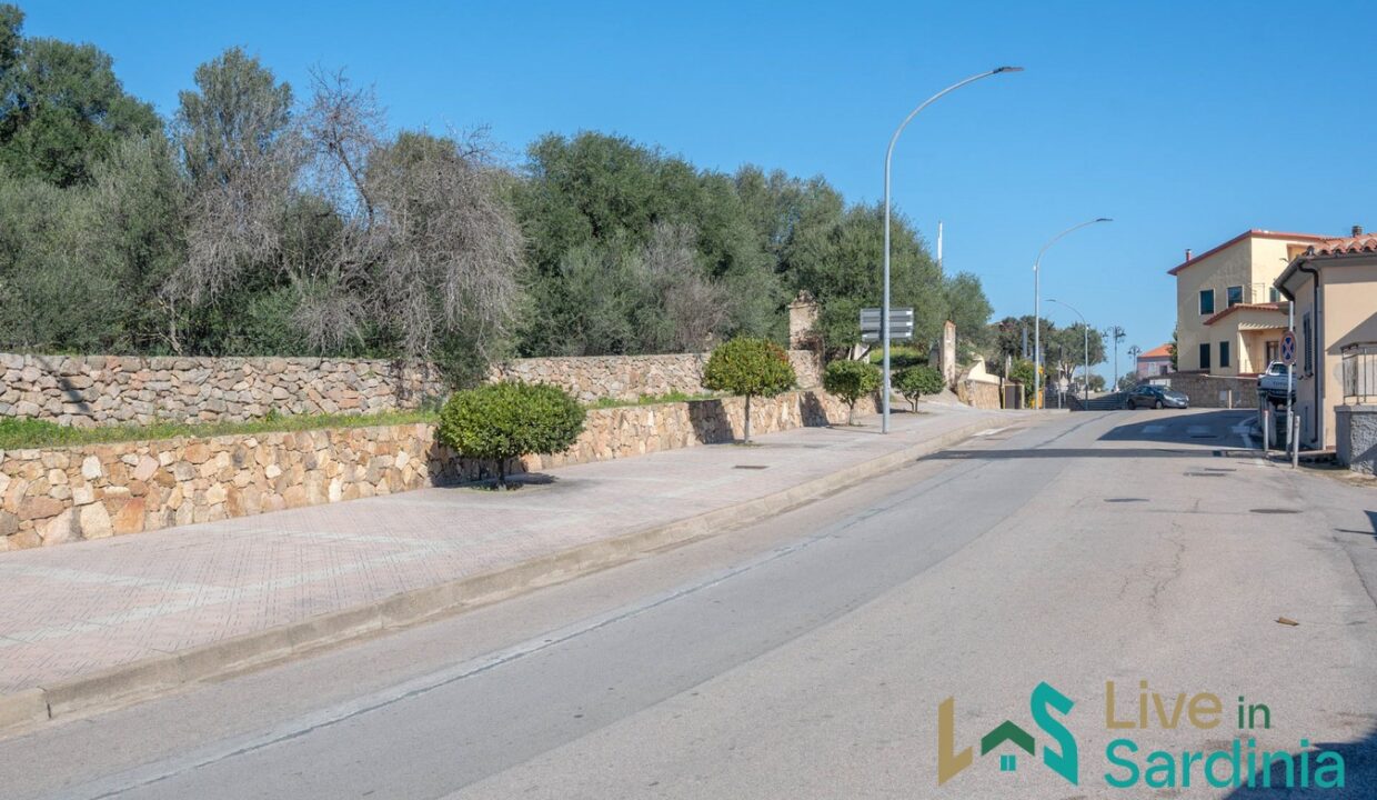 Rustic-Home-with-Olive-Grove-For-Sale-Near-Sale-In-Porto-San-Paolo