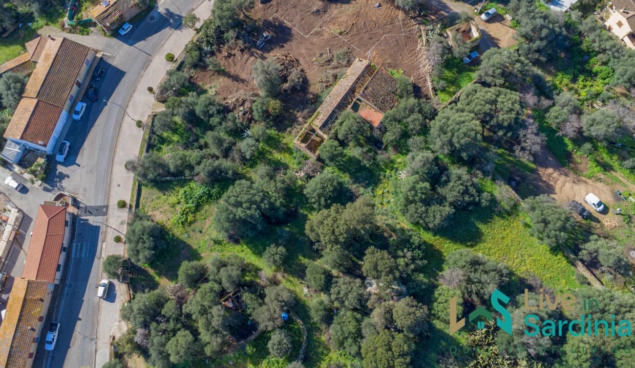Rustic-Home-with-Olive-Grove-For-Sale-Near-Sale-In-Porto-San-Paolo