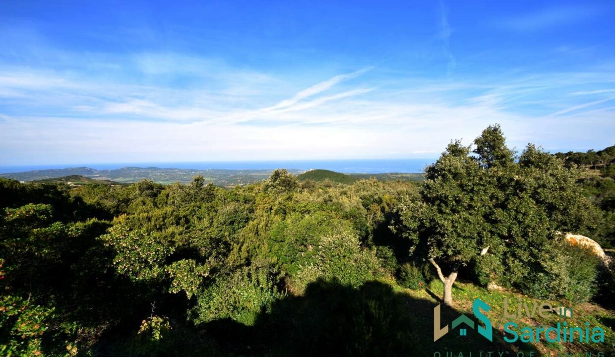 Stazzu-For-Sale-In-Sardinia-with-beautiful-sea-view-in-Aglientu (35)