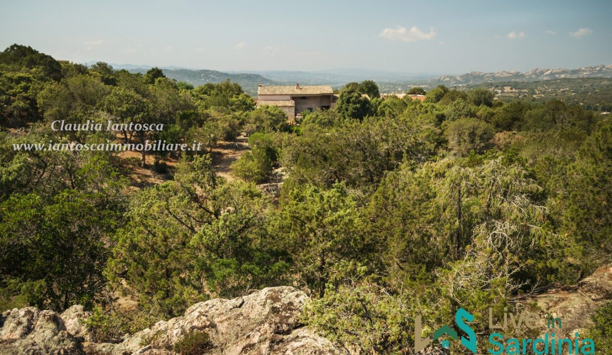 Villa-for-Sale-San-Pantaleo-Sardinia