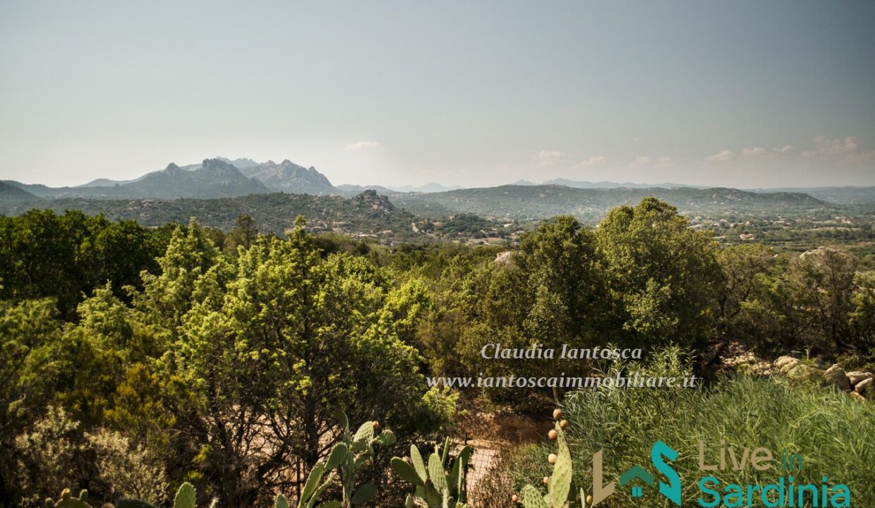 Villa-for-Sale-San-Pantaleo-Sardinia