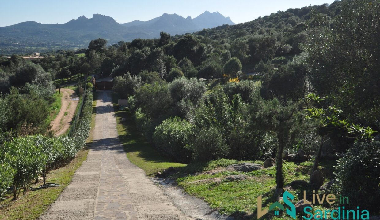 Villa-For-Sale-In-San-Pantaleo-Costa-Smeralda