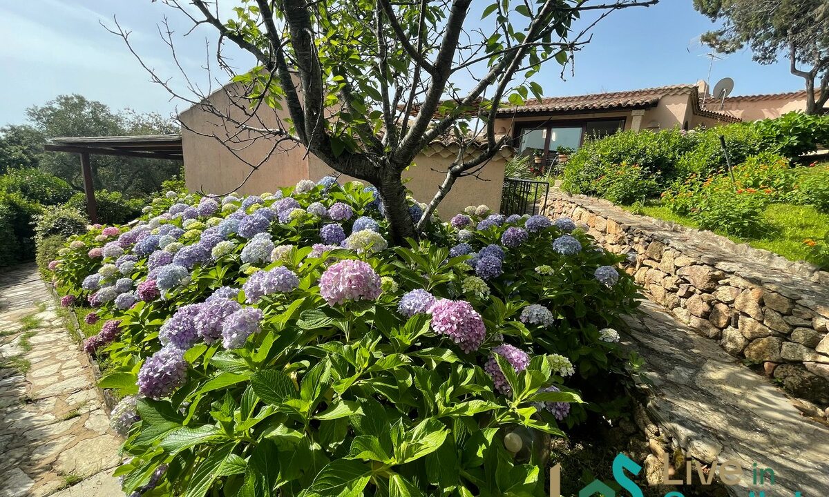 Villa-With-Sea-Views-for-Sale-in-Pevero-Porto-Cervo