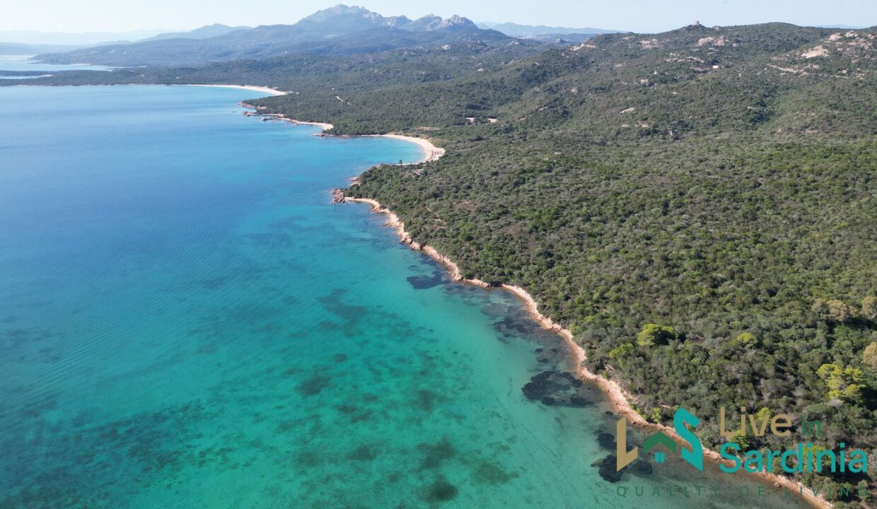 Villas-And-Homes-For-Sale-And-Rent-In-Emerald-Coast